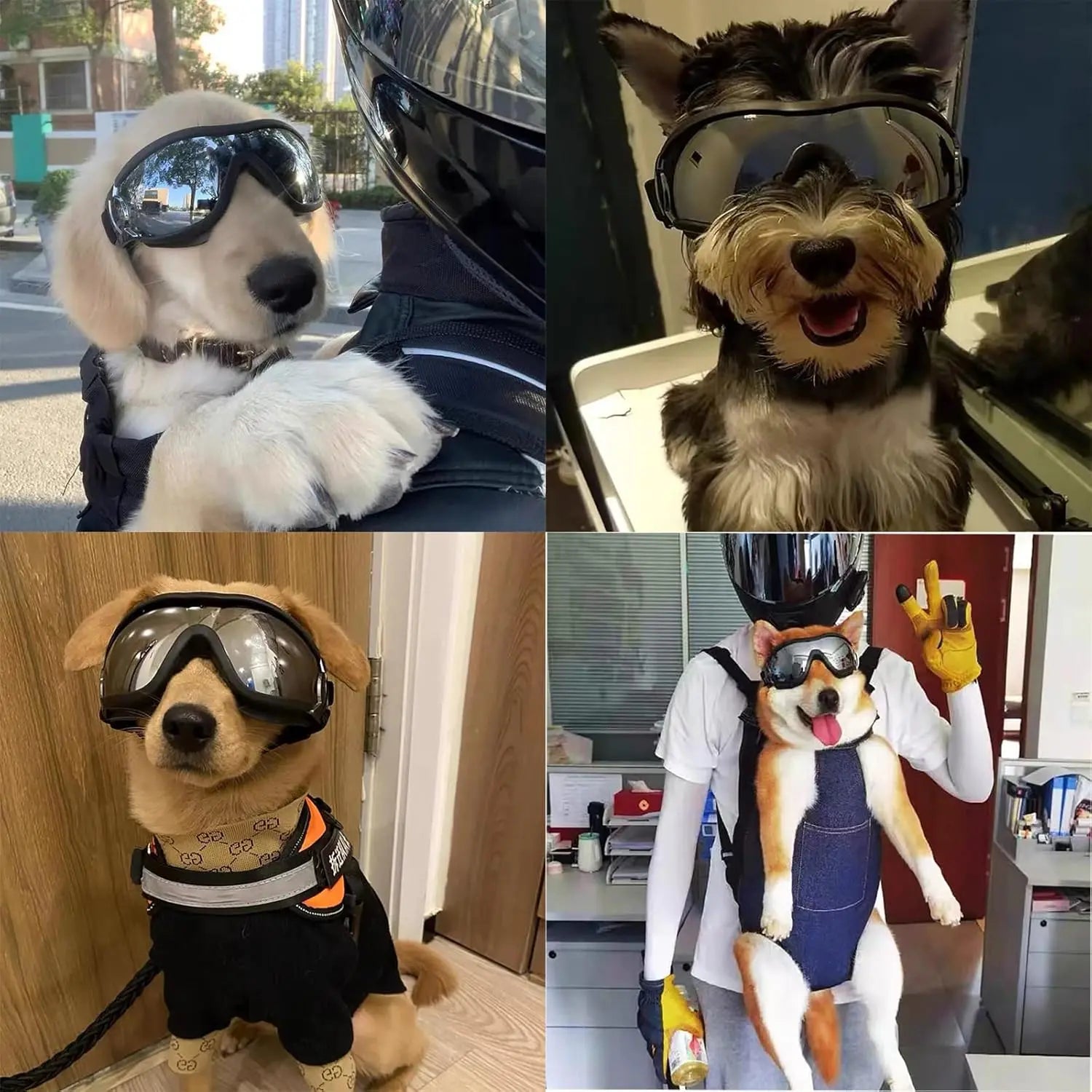 Dog Goggles with UV Protection – Adjustable Pet Sunglasses for Medium & Large Dogs | Wind, Dust & Snow Eye Protection