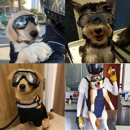 Dog Goggles with UV Protection – Adjustable Pet Sunglasses for Medium & Large Dogs | Wind, Dust & Snow Eye Protection