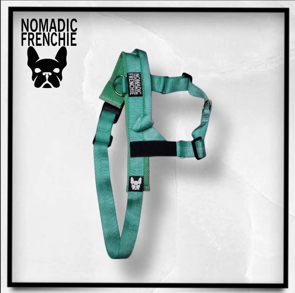 Adjustable No-Pull Dog Harness – Tear-Resistant Reflective Vest for Small, Medium & Large Dogs | Durable Outdoor Walking Harness
