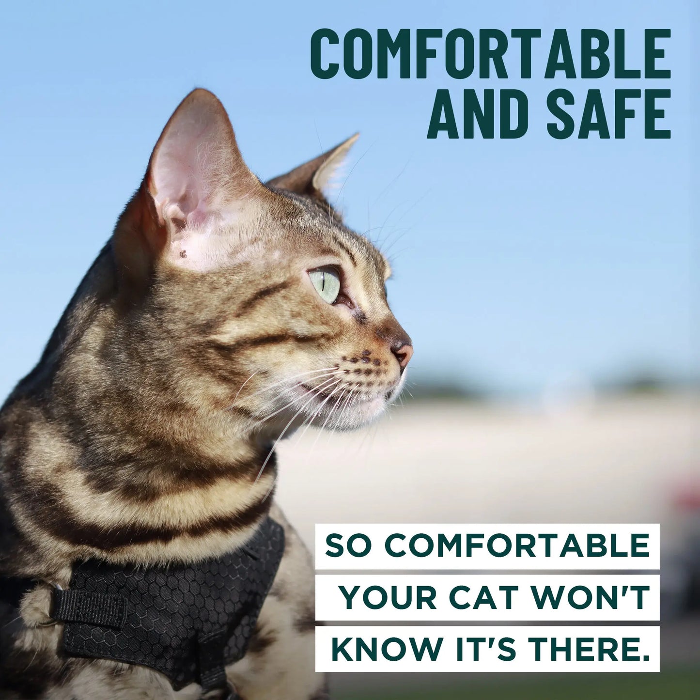 Houdini™ Escape-Proof Cat Harness & Leash Set – Adjustable Anti-Escape Vest Harness for Walking, Training & Outdoor Adventures (Comfort Fit, Secure Buckle Design)