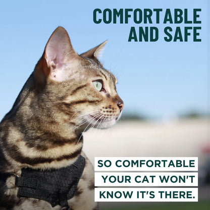 Houdini™ Escape-Proof Cat Harness & Leash Set – Adjustable Anti-Escape Vest Harness for Walking, Training & Outdoor Adventures (Comfort Fit, Secure Buckle Design)