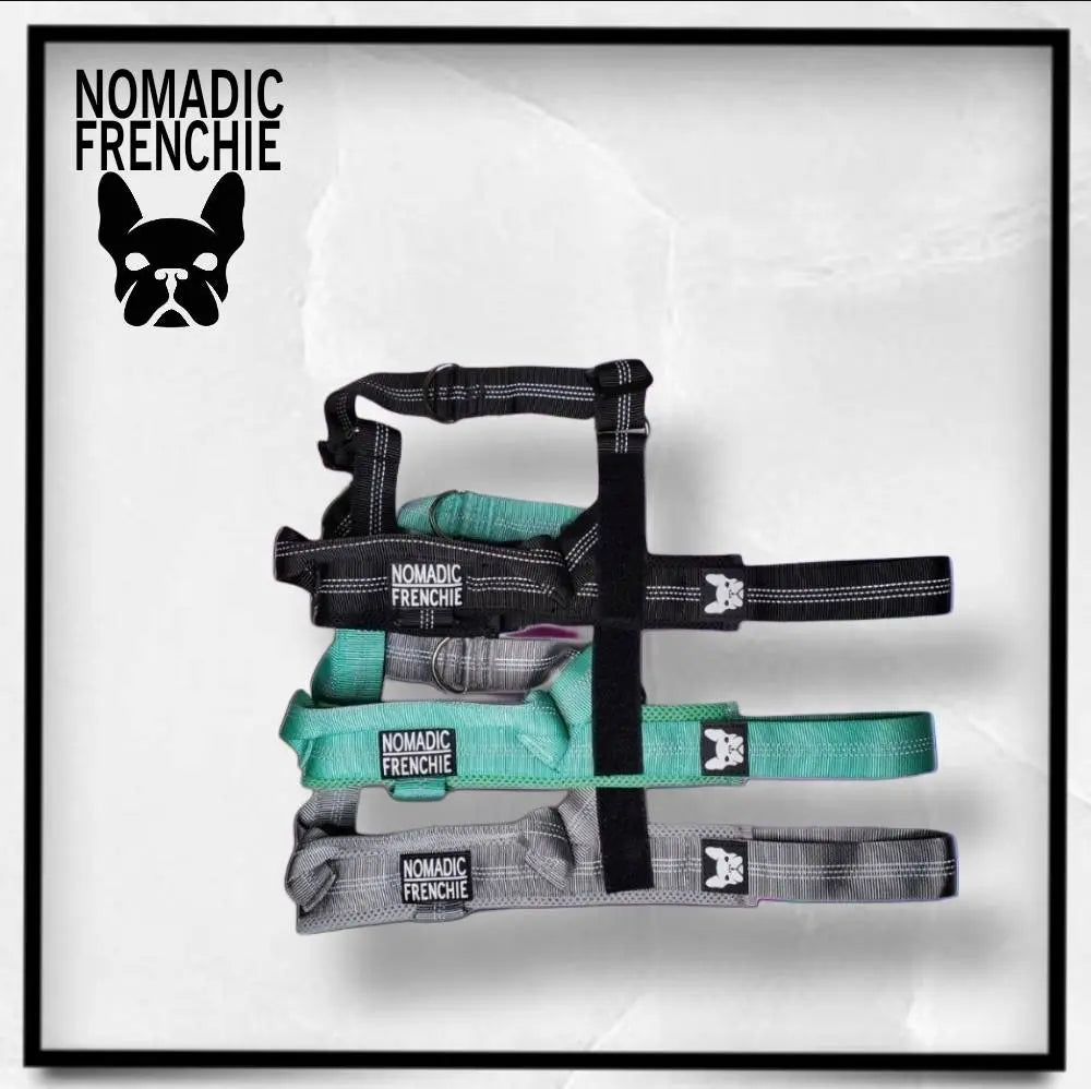 Adjustable No-Pull Dog Harness – Tear-Resistant Reflective Vest for Small, Medium & Large Dogs | Durable Outdoor Walking Harness