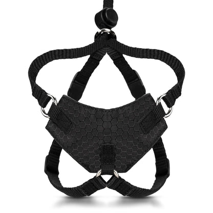 Houdini™ Escape-Proof Cat Harness & Leash Set – Adjustable Anti-Escape Vest Harness for Walking, Training & Outdoor Adventures (Comfort Fit, Secure Buckle Design)