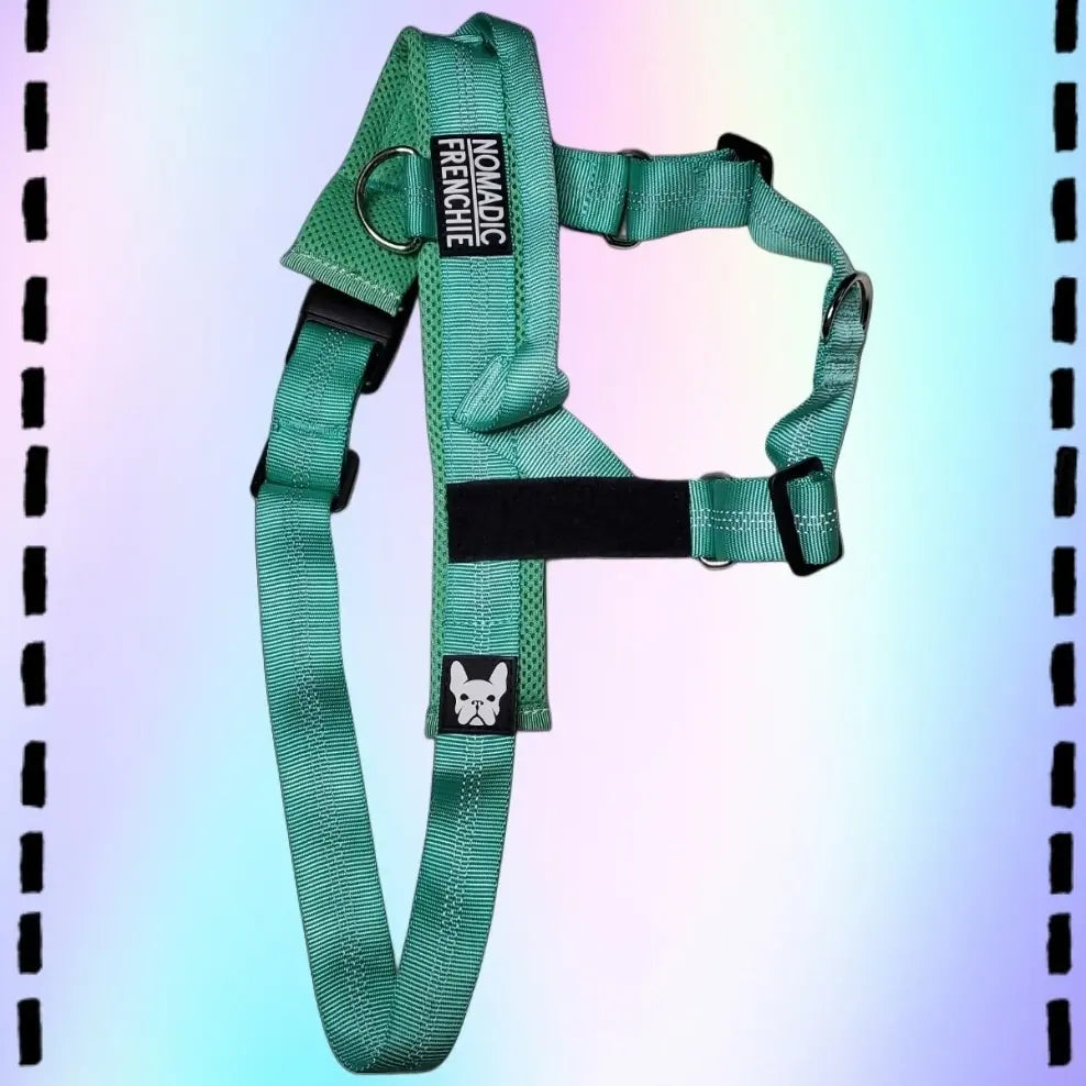 Adjustable No-Pull Dog Harness – Tear-Resistant Reflective Vest for Small, Medium & Large Dogs | Durable Outdoor Walking Harness