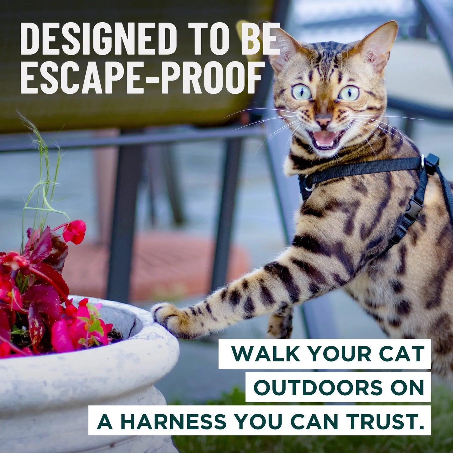 Houdini™ Escape-Proof Cat Harness & Leash Set – Adjustable Anti-Escape Vest Harness for Walking, Training & Outdoor Adventures (Comfort Fit, Secure Buckle Design)