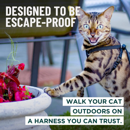 Houdini™ Escape-Proof Cat Harness & Leash Set – Adjustable Anti-Escape Vest Harness for Walking, Training & Outdoor Adventures (Comfort Fit, Secure Buckle Design)