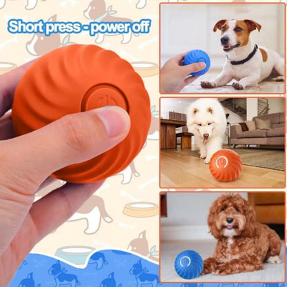 Interactive Automatic Dog Ball Toy – USB Rechargeable Moving & Bouncing Ball