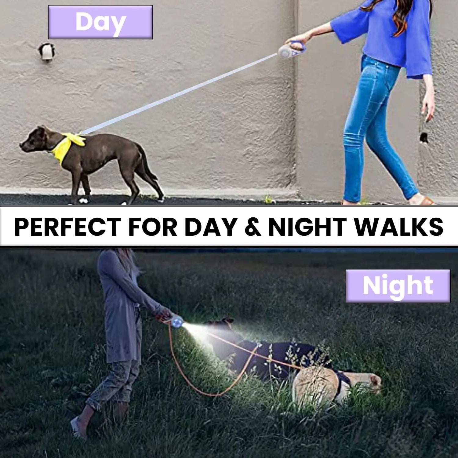 Pawzseek LED Retractable Dog Leash – Rechargeable Light-Up Dog Leash for Safe Night Walks, Reflective & Extendable Pet Lead with Built-In LED Illumination