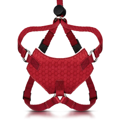 Houdini™ Escape-Proof Cat Harness & Leash Set – Adjustable Anti-Escape Vest Harness for Walking, Training & Outdoor Adventures (Comfort Fit, Secure Buckle Design)