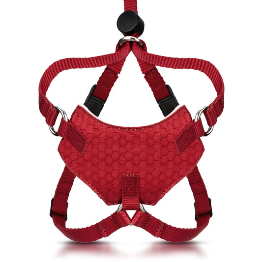 Houdini™ Escape-Proof Cat Harness & Leash Set – Adjustable Anti-Escape Vest Harness for Walking, Training & Outdoor Adventures (Comfort Fit, Secure Buckle Design)