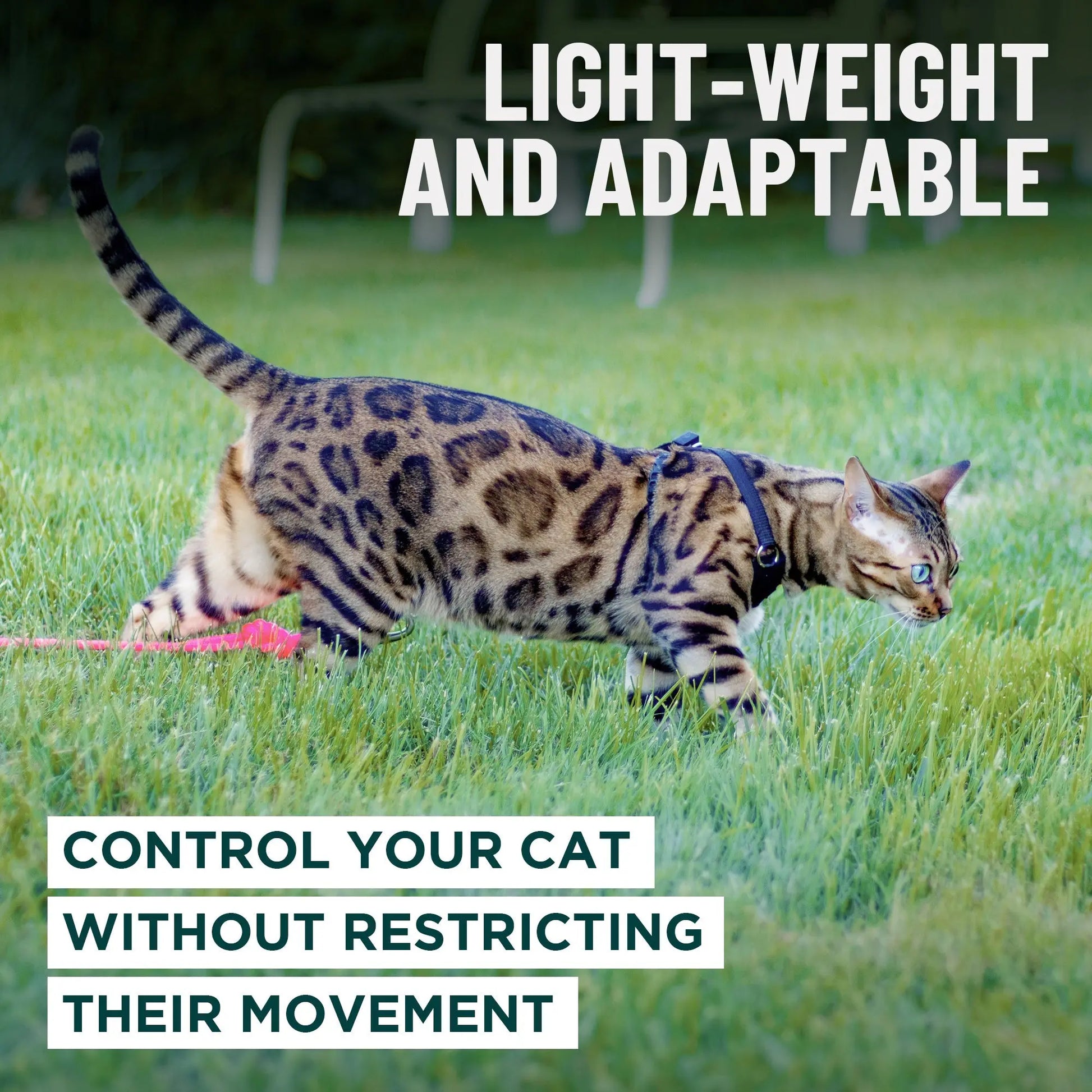 Houdini™ Escape-Proof Cat Harness & Leash Set – Adjustable Anti-Escape Vest Harness for Walking, Training & Outdoor Adventures (Comfort Fit, Secure Buckle Design)