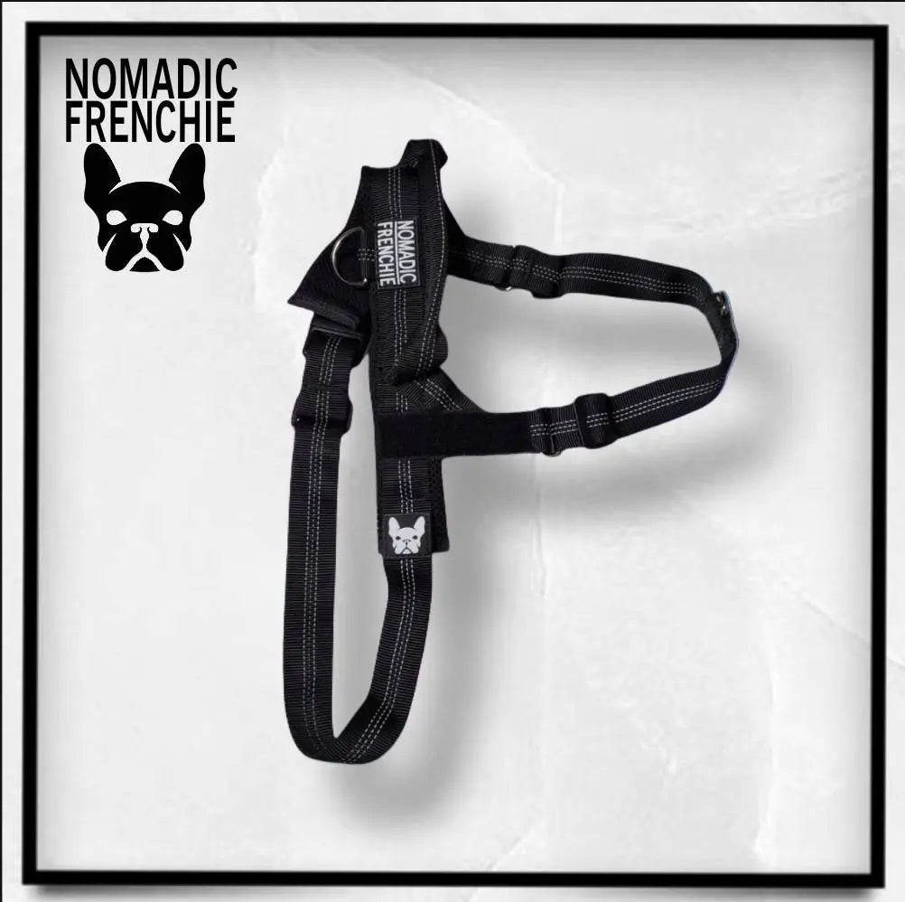 Adjustable No-Pull Dog Harness – Tear-Resistant Reflective Vest for Small, Medium & Large Dogs | Durable Outdoor Walking Harness